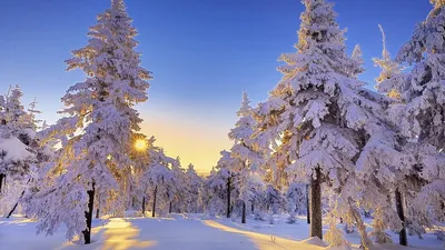 Фоновой рисунок на рабочий стол на весь экран зима (50 фото) » рисунки для  срисовки на Газ-квас.ком
