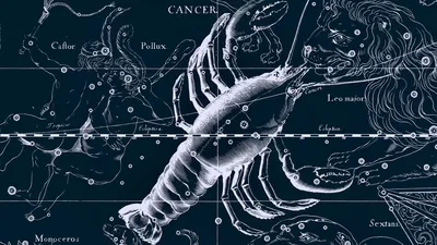 Zodiac signs обои для рабочего стола, картинки и фото - RabStol.net