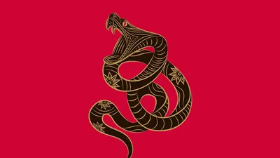 Звездный знак зодиака Близнецы - обои для рабочего стола, картинки, фото