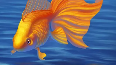 Скачать обои МОРЕ, НАСТРОЕНИЕ, ОБОИ НА РАБОЧИЙ СТОЛ, ЗОЛОТАЯ РЫБКА, раздел  разное в разрешении 1920x1080