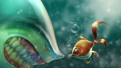 Золотые рыбки » ImagesBase - Обои для рабочего стола