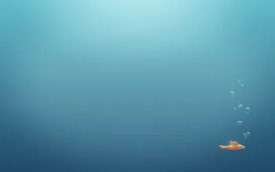 Картинка Рыбки, вода, аквариум, золотая рыбка HD фото, обои для рабочего  стола