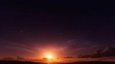 Скачать обои Небо, ночь, звезды, звездное небо, мертвое дерево на рабочий  стол из раздела картинок Необычные