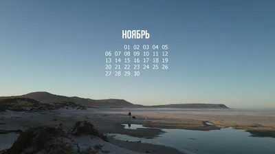 Кот кибер-гот на темном фоне - Красивые обои на рабочий стол бесплатно |  Творчество с Искусственным Интеллектом | Дзен