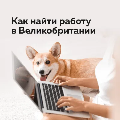 Нозима Давлетова перешла на работу в Администрацию президента – Новости  Узбекистана – Газета.uz