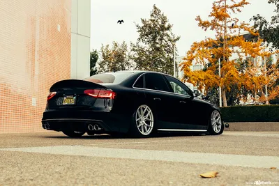 Audi S4 Roll Cage / Roll bar by StudioRSR – Studio RSR