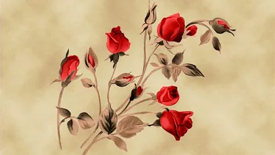 Обои цветы на сером фоне Floral арт. 9132-23 купить по цене 2 200 р. руб. с  доставкой в Санкт-Петербурге