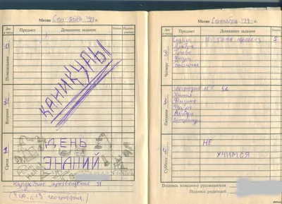 Светоч\" Дневник школьный 1-11 класс, матовая ламинация A5+ 40 л. твердый  переплет 60 г/кв.м Дневник российского школьника 40ДТ5_000002 купить за  164,00 ₽ в интернет-магазине Леонардо