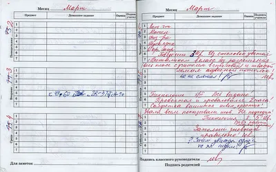 Дневник школьный именной в интернет-магазине на Ярмарке Мастеров |  Блокноты, Москва - доставка по России. Товар продан.