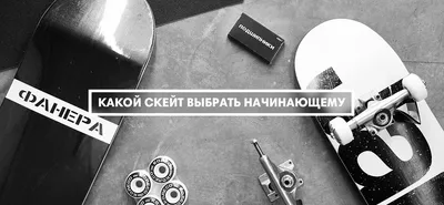 Пальчиковый скейтборд с рампой «Скейт-парк», МИКС купить в Чите Спортивные  настольные игры в интернет-магазине Чита.дети (5480871)
