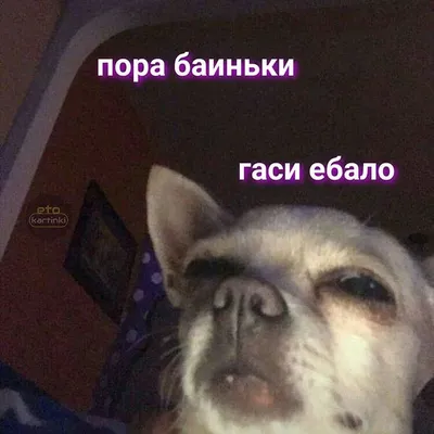 Картинки на случай вп фотографии