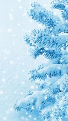 Wallpaper iPhone /winter⚪️ | Winter wallpaper, Holiday wallpaper, Wallpaper  iphone christmas