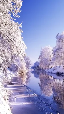 ❄️ Подберем тебе зимние обои на телефон? ❄️• эстетика• — Трикки — тесты для  девочек