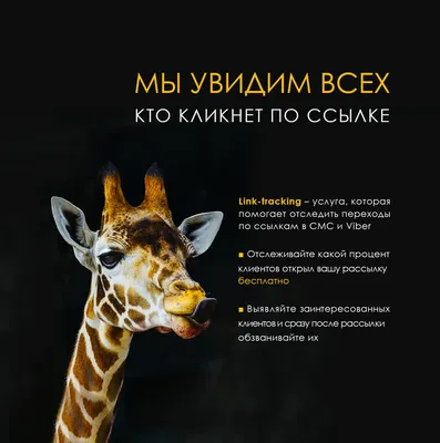 Отправка СМС из amoCRM через виджет