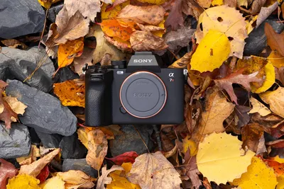Sony A7IV Photo and Video Review — JULIA TROTTI | Photography Tutorials +  Camera and Lens Reviews