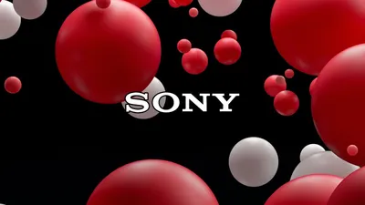 What To Know BEFORE You Buy the Sony A7 IV | Hands-On Review - Moment