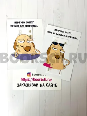 Сотка на все случаи жизни – 🎁 магазин прикольных подарков boorsch.ru