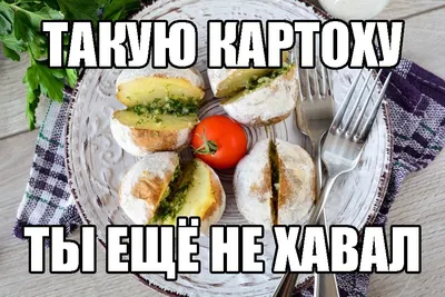 Водка за сотку | Пикабу