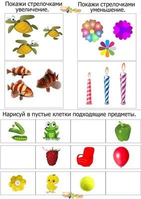 Картинки на сравнение для детей фотографии