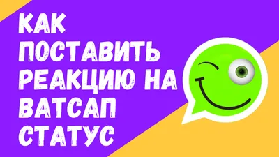 Статус. Почему мы объединяемся, конкурируем и уничтожаем друг друга | Сторр  Уилл - купить с доставкой по выгодным ценам в интернет-магазине OZON  (768726155)