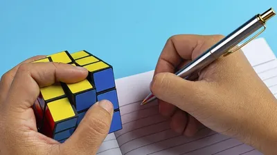 Что такое социальный статус? Ответ на вопрос ⚡(социология)