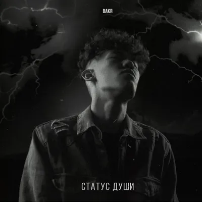 Правовой статус: понятие, виды, структура
