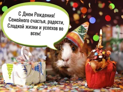 30 классных плакатов на день рождения – Блог Canva