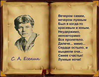 Стихотворения и поэмы. Сергей Есенин - «Есенин не умрёт никогда, его стихи  живы всегда!» | отзывы