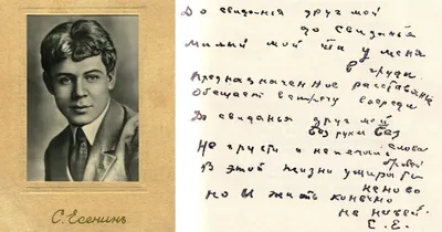 Завещание Сергея Есенина: сердце — Райх, кровь — Дункан, мозг — Толстой