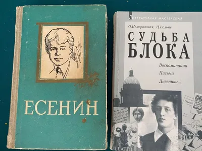 Стихи «Радуницы» С. А. Есенина в истории русской литературы