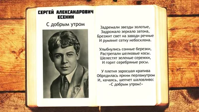 Значок на рюкзак поэт Сергей Есенин стихи - купить с доставкой по выгодным  ценам в интернет-магазине OZON (1024051293)