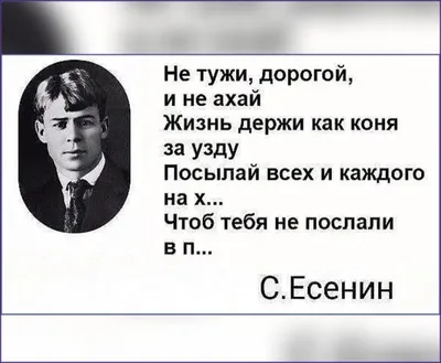 Есенин Сергей Александрович \"О Русь - малиновое поле. Сборник стихов о  родине, природе и любви\" — купить в интернет-магазине по низкой цене на  Яндекс Маркете