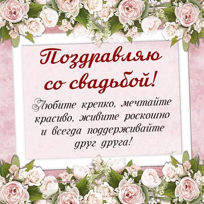 Пригласительные открытки для свадьбы на кыргызском: 100 KGS ▷ Свадебные  аксессуары | Бишкек | 89270278 ᐈ lalafo.kg