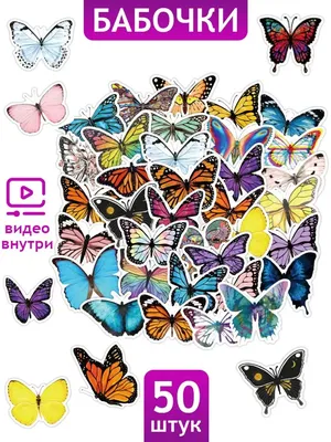 29+ Бабочка Фея обои на телефон от zahar.zimin