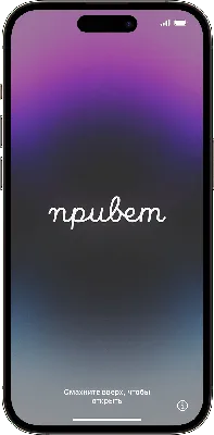 Продажи iPhone достигли максимума за всю историю Apple. Куда дальше? |  AppleInsider.ru
