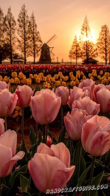 Светлые обои на телефон вертикальные - фото и картинки abrakadabra.fun