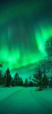 Обои на смартфон вертикальные - 84 фото
