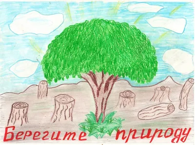 Берегите природу! — Пижанская районная детская библиотека
