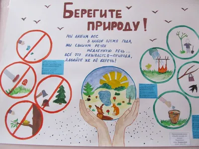 Плакат для срисовки берегите растения (31 шт)