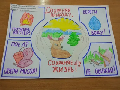 Конкурс плакатов на правовою тему, посвященную году Экологии «Берегите Землю,  берегите!» - Официальный сайт МБОУ СОШ № 6