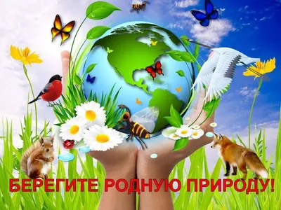 Стенгазета ко Дню Земли | Детские научные проекты, Школьные проекты,  Дошкольные идеи