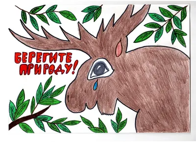 Рисунок защитим природу - 34 фото