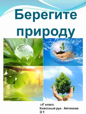 Плакат для срисовки берегите растения (31 шт)
