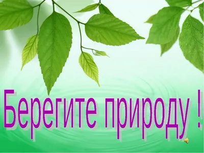 Берегите Землю