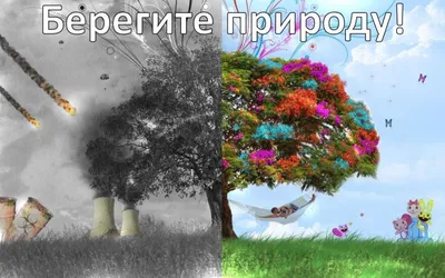 Картинки На Тему Берегите Природу 6 Класс – Telegraph