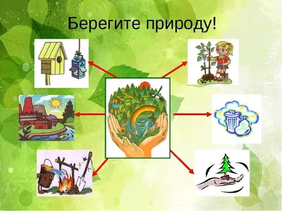 Плакат для срисовки берегите растения (31 шт)
