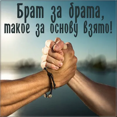 Брат И Сестра — стоковая векторная графика и другие изображения на тему 2-3  года - 2-3 года, Белый фон, Близость - iStock