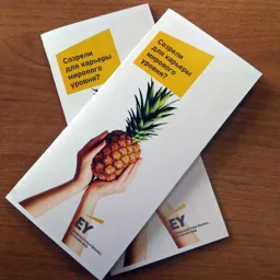 Презентация на тему \"Бухгалтерский учет как информационная система\"