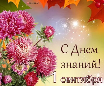 День знаний – 2020 – Октёмский НОЦ