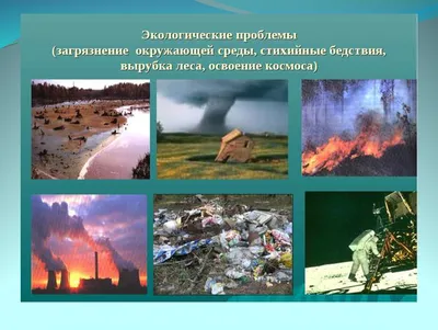 Экологические проблемы» - ppt download